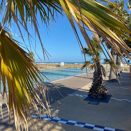 Appartement Port T2 4 Pers, Rdc Surélevé, Terrasse Ouest, Parking Privé, Proche Mer, équipé - Fr-1-798-5 *